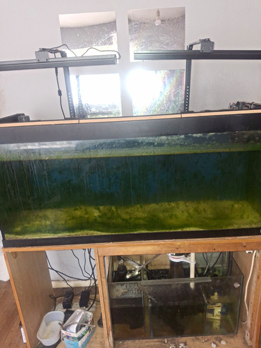 Complete setup marine - complete,