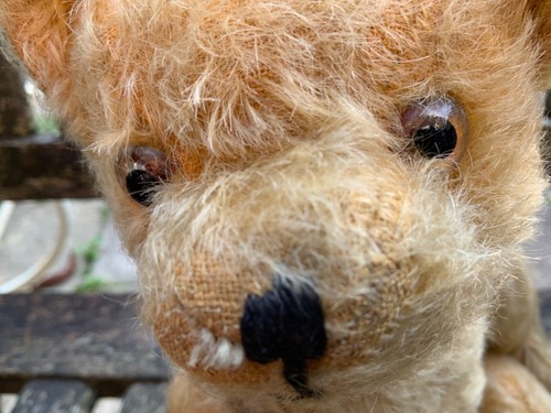 Flora antique farnell teddy - antique,