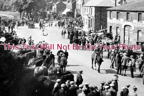 555 appleby horse fair - du,