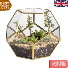 Artistic No Door Terrarium for