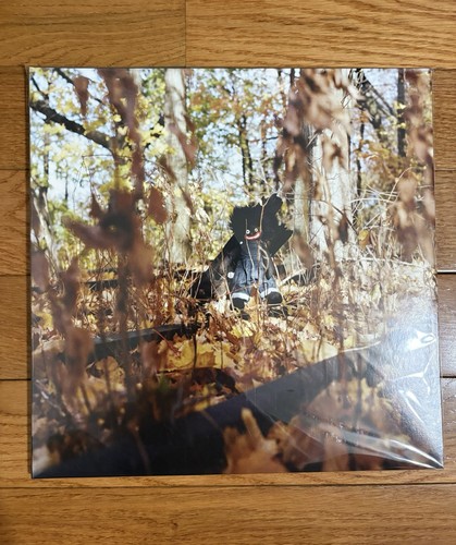 Billy woods golliwog vinyl - woods, lp
