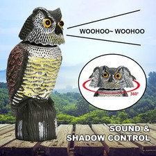 Realistic Owl Decoy Deterrent