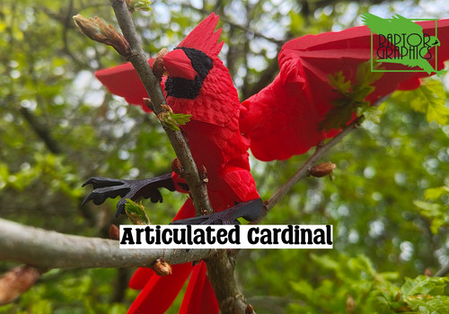 Articulated cardinal songbird - articulated,