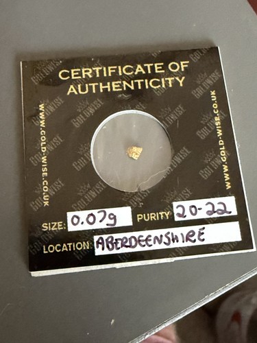 Goldwise gold nugget size - goldwise,