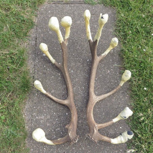 Pair deer antlers long 90cm - of,