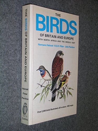 Birds britain and - and, europe