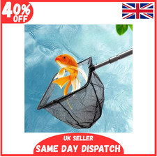 Pond Net Catch Fish & Debris