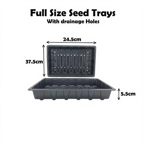Seed tray full - seed,
