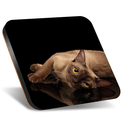 Square coaster 12cm burmese - 1x,