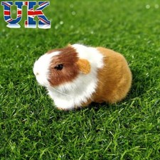Soft Simulation Fur Guinea Pig