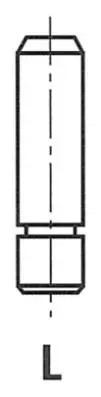 Valve guide for inlet valves