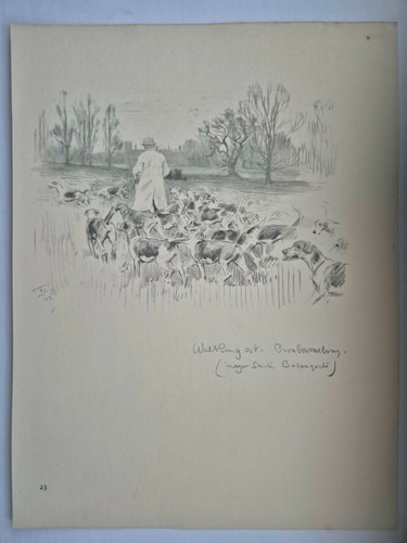 Antique pencil drawing fox - antique,