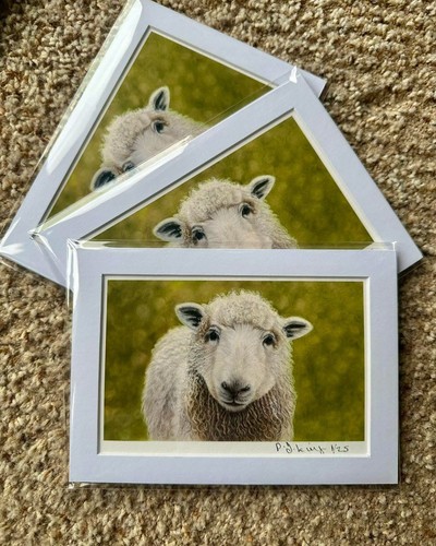Limited edition prints sheep - limited,