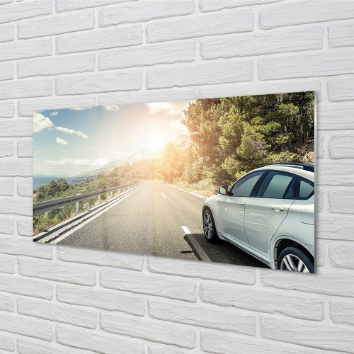 Tulup glass print 100x50 wall - glass,