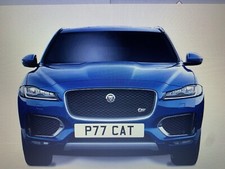 Jaguar/Puma/Kuga/Caterham/Cath