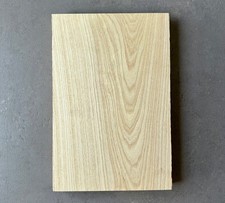 American Swamp Ash Electric