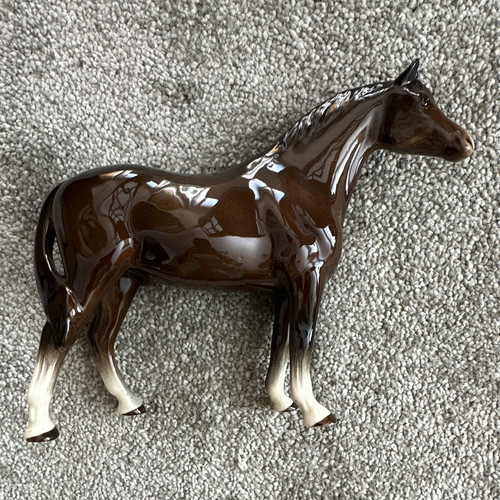 Glossy brown horse - glossy,
