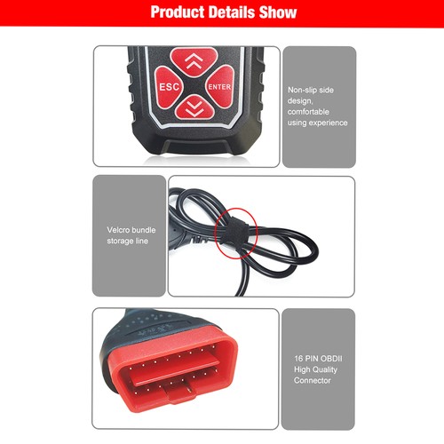 Right turn signal light - signal, with