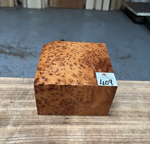 Thuya burr 5 x - thuya, 3”