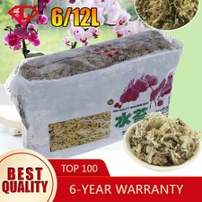 Sphagnum Moss Dried Forest