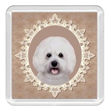 Bichon Frise Dog Acrylic Coaster Novelty Drink Cup Mat Great Gift