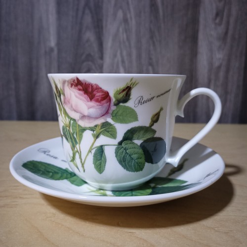 Roy kirkham redoute - kirkham, roses