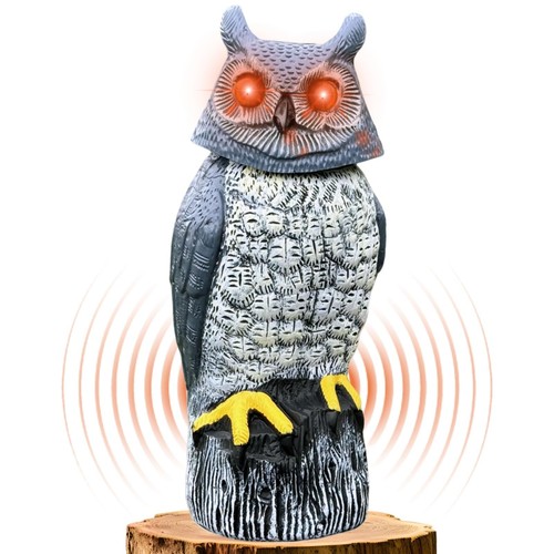 Solar garden owl - owl, statue