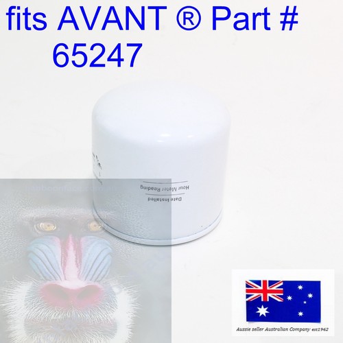 Fits avant loader engine - loader,
