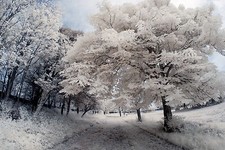 Nikon D90 D5000 Infrared
