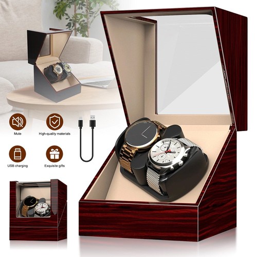 Automatic watch winder display - winder,