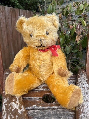 Vintage pedigree teddy - bear,