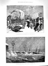 Original Old Antique Print