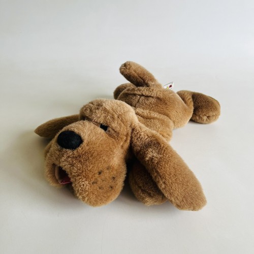 Aurora bloodhound basset hound - aurora,