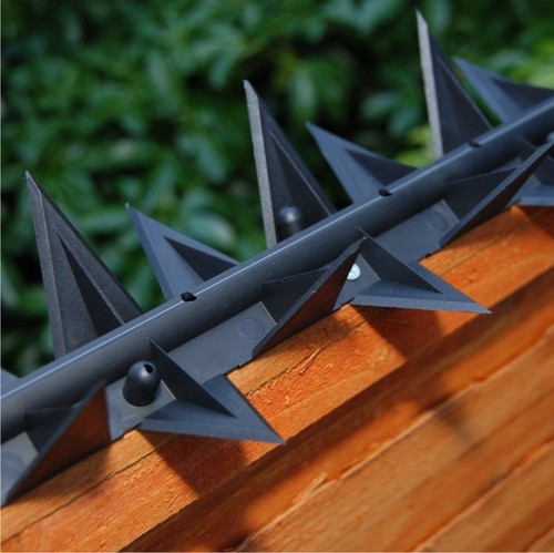 Stegastrip fence wall spikes - wall,