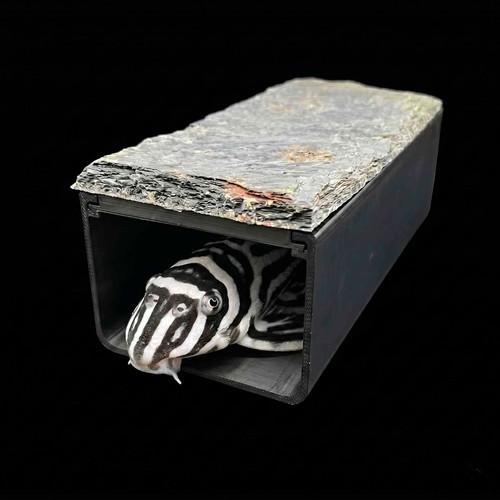 Zebra pleco breeding cave - zebra,