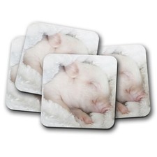 4 Set - Adorable Sleepy Piglet Coaster - Micro Pig Pigs Cute Small Gift #16978