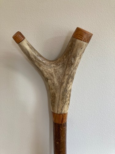 Hand crafted hazel stagshorn - hazel,