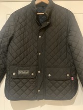 Belsaff Wilson Gold Edition