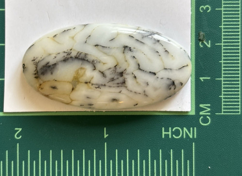 Oval polished cabochon stone - oval,