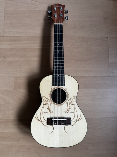 Kmise 24a electric acoustic - electric,