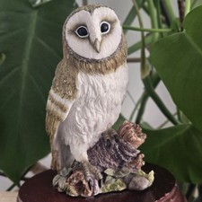 Leonardo Collection Barn Owl