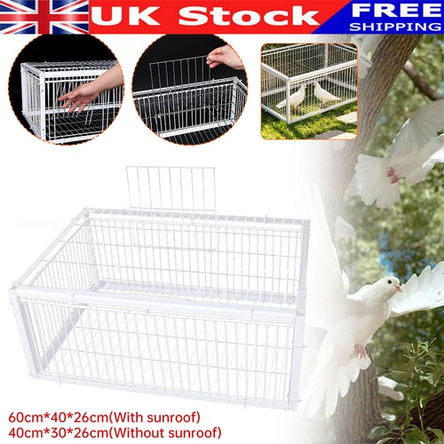 Pigeon trap cage - pigeon, portable