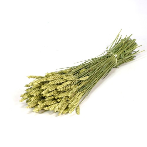 Dried bunch natural tarwe - natural,