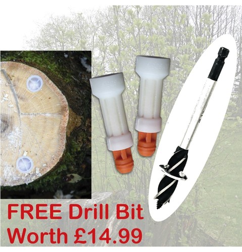 Tree stump killer stop - tree,