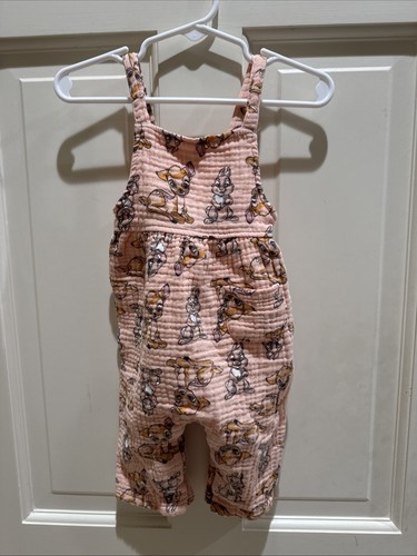 Disney baby girl size 9 - girl, 6-9