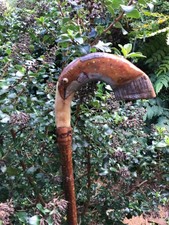 Vintage Rams horn walking stick / shepherds crook Beaters Stick 115cm