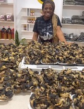 Oven Dried Snails. (15 In