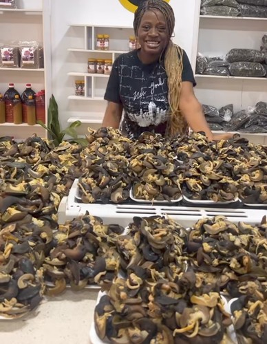 Oven dried snails - oven, (15