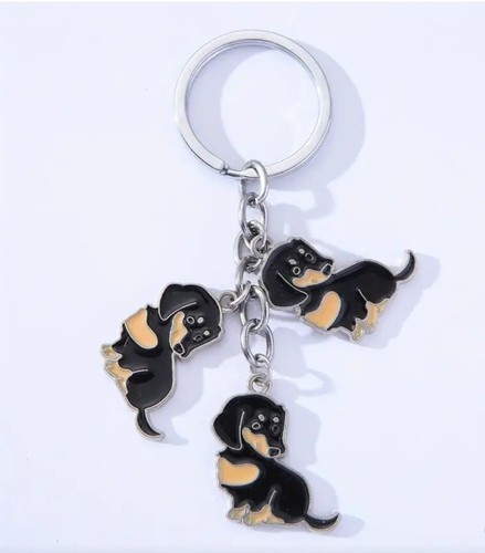 Dachshund sausage dog - dog, black