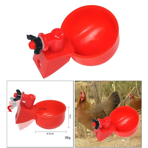 Poultry chicken automatic - chicken,